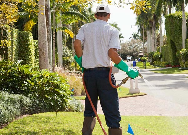 About Burlington ME Pest Control Pros